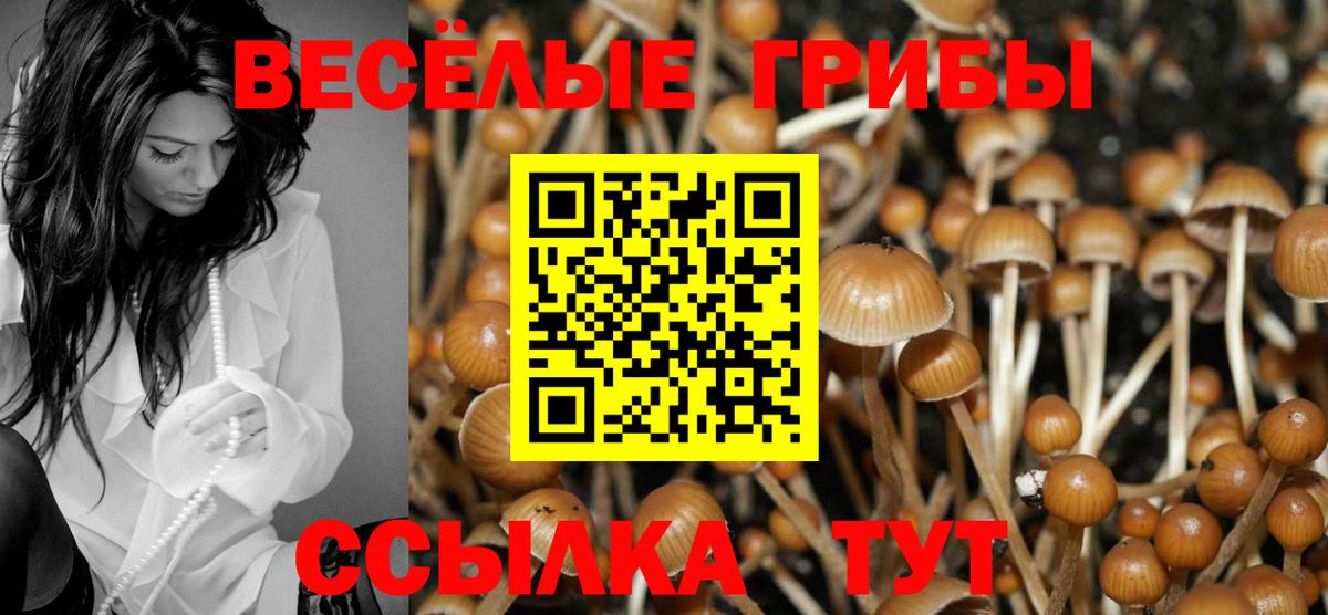 Галлюциногенные грибы ЛСД Дагестанские Огни